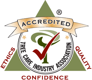 TCIA accredited